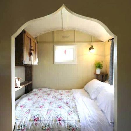 Beech Shepherds Hut York Ngoại thất bức ảnh